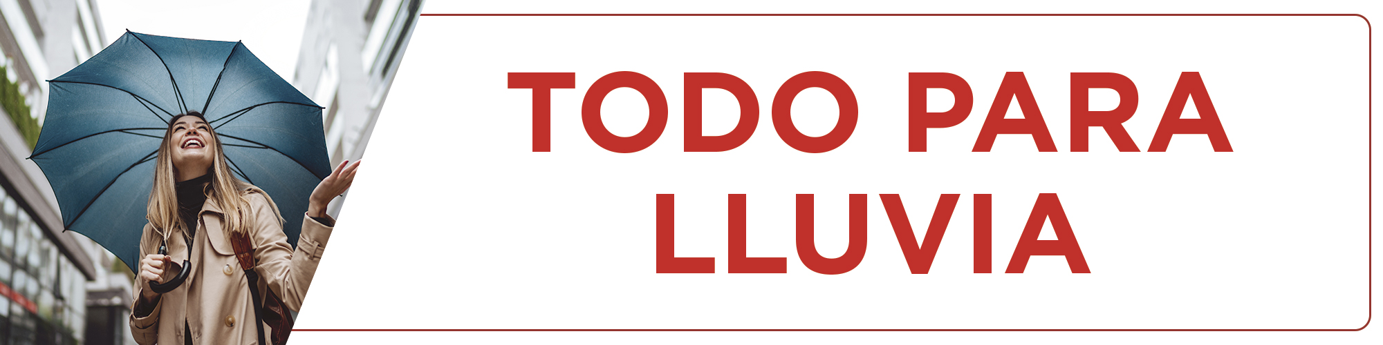 Banner-principal